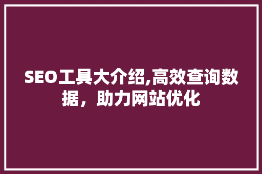 SEO工具大介绍,高效查询数据，助力网站优化