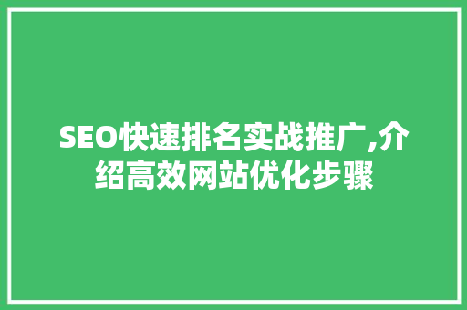 SEO快速排名实战推广,介绍高效网站优化步骤