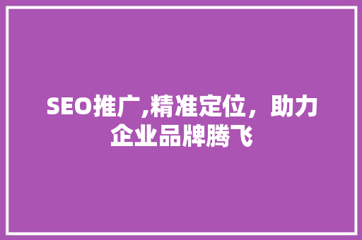 SEO推广,精准定位，助力企业品牌腾飞