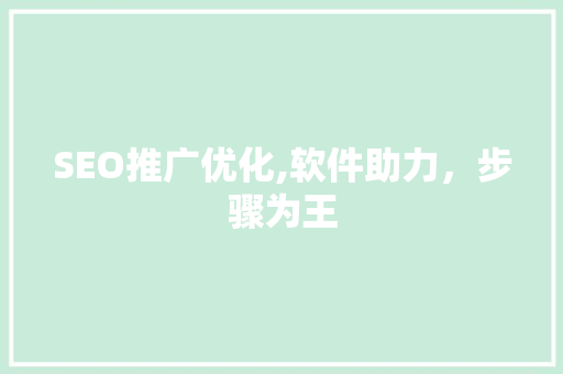SEO推广优化,软件助力，步骤为王