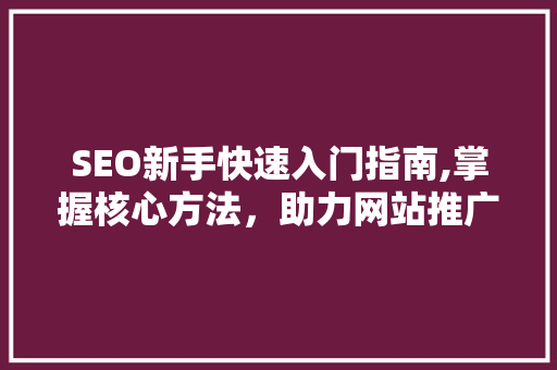 SEO新手快速入门指南,掌握核心方法，助力网站推广