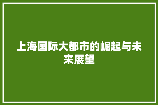 上海国际大都市的崛起与未来展望