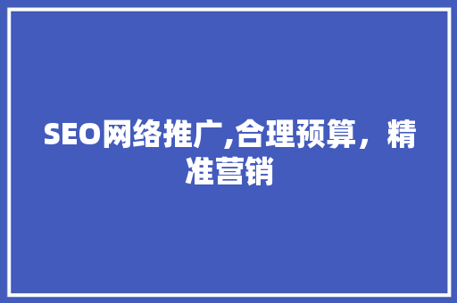 SEO网络推广,合理预算，精准营销