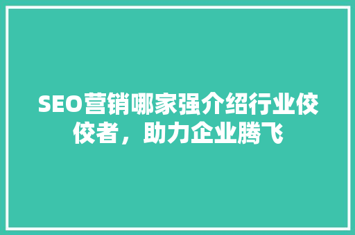 SEO营销哪家强介绍行业佼佼者，助力企业腾飞