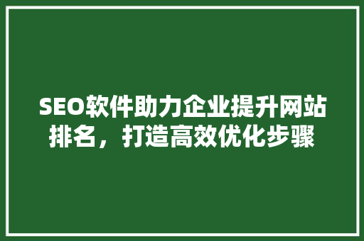 SEO软件助力企业提升网站排名，打造高效优化步骤