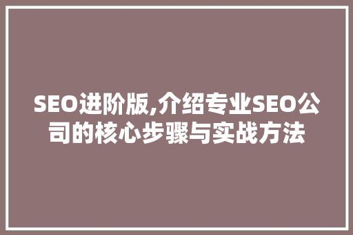 SEO进阶版,介绍专业SEO公司的核心步骤与实战方法
