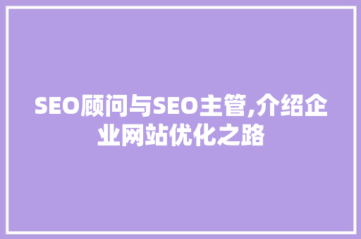 SEO顾问与SEO主管,介绍企业网站优化之路