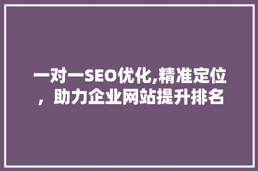 一对一SEO优化,精准定位，助力企业网站提升排名