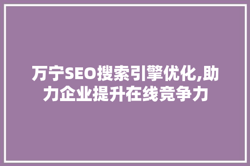 万宁SEO搜索引擎优化,助力企业提升在线竞争力
