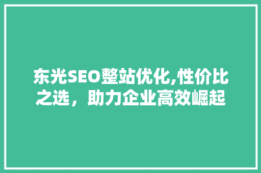 东光SEO整站优化,性价比之选，助力企业高效崛起