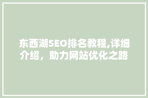 东西湖SEO排名教程,详细介绍，助力网站优化之路