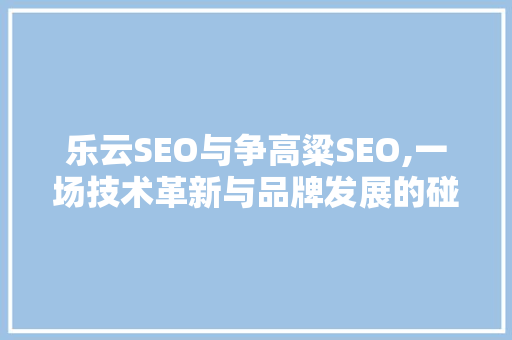 乐云SEO与争高粱SEO,一场技术革新与品牌发展的碰撞
