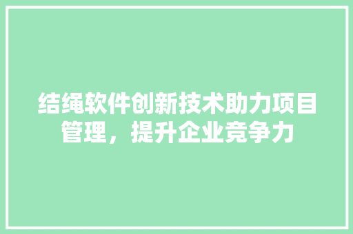 结绳软件创新技术助力项目管理，提升企业竞争力