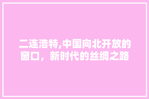 二连浩特,中国向北开放的窗口，新时代的丝绸之路