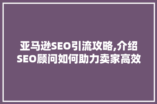 亚马逊SEO引流攻略,介绍SEO顾问如何助力卖家高效获客