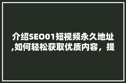 介绍SEO01短视频永久地址,如何轻松获取优质内容，提升个人影响力
