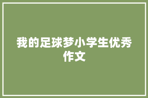 介绍SEO专用B2B群发软件,助力企业提升网络营销效果的秘密武器