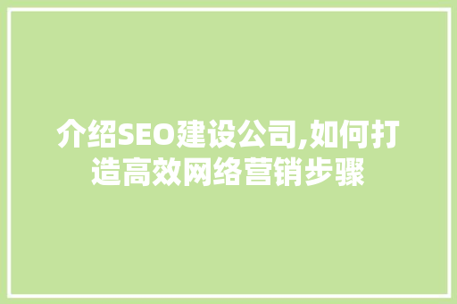 介绍SEO建设公司,如何打造高效网络营销步骤