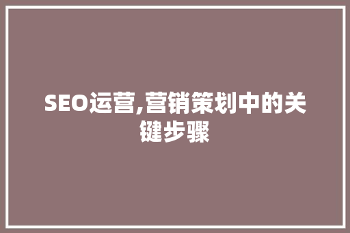 SEO运营,营销策划中的关键步骤