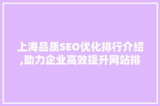 上海品质SEO优化排行介绍,助力企业高效提升网站排名