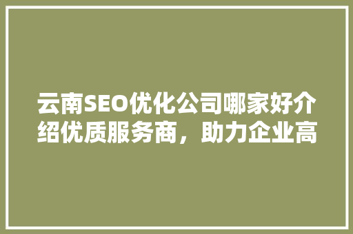 云南SEO优化公司哪家好介绍优质服务商，助力企业高效提升网站排名！