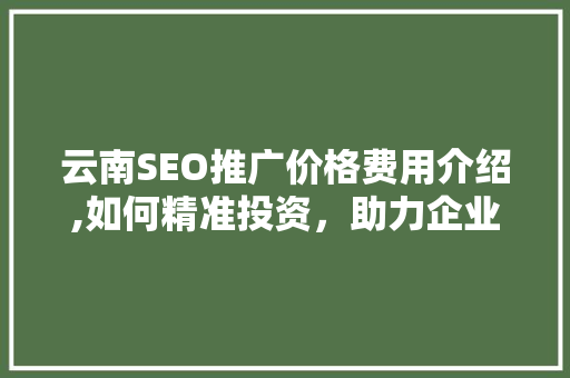 云南SEO推广价格费用介绍,如何精准投资，助力企业腾飞