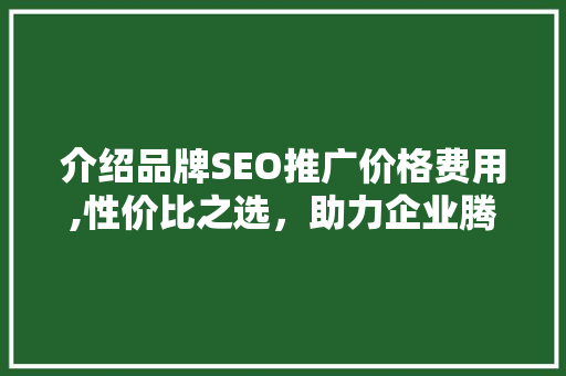 介绍品牌SEO推广价格费用,性价比之选，助力企业腾飞