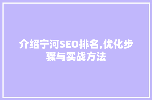 介绍宁河SEO排名,优化步骤与实战方法