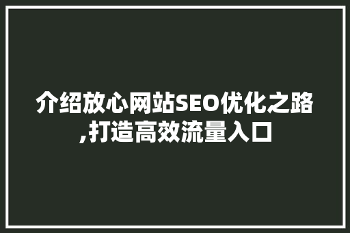 介绍放心网站SEO优化之路,打造高效流量入口