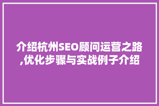 介绍杭州SEO顾问运营之路,优化步骤与实战例子介绍