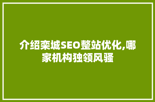 介绍栾城SEO整站优化,哪家机构独领风骚