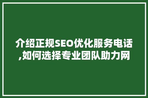 介绍正规SEO优化服务电话,如何选择专业团队助力网站排名提升