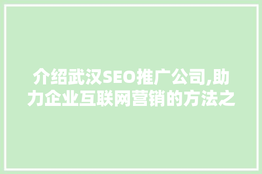 介绍武汉SEO推广公司,助力企业互联网营销的方法之路
