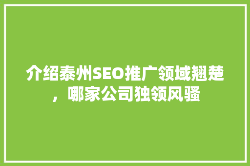 介绍泰州SEO推广领域翘楚，哪家公司独领风骚