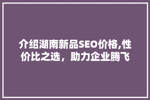 介绍湖南新品SEO价格,性价比之选，助力企业腾飞