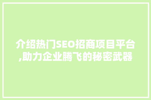 介绍热门SEO招商项目平台,助力企业腾飞的秘密武器