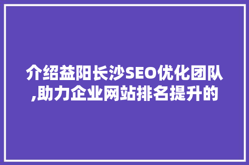 介绍益阳长沙SEO优化团队,助力企业网站排名提升的秘密武器