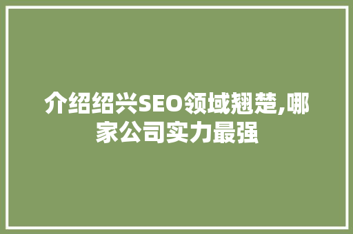 介绍绍兴SEO领域翘楚,哪家公司实力最强