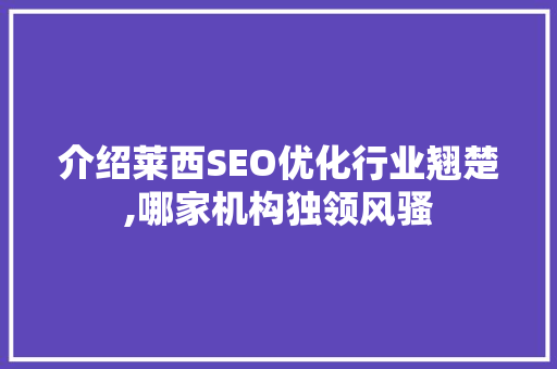 介绍莱西SEO优化行业翘楚,哪家机构独领风骚