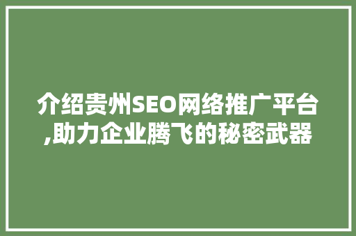 介绍贵州SEO网络推广平台,助力企业腾飞的秘密武器