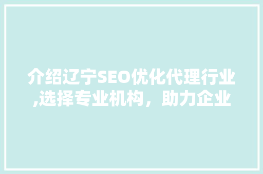 介绍辽宁SEO优化代理行业,选择专业机构，助力企业网站排名飙升