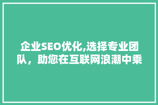 企业SEO优化,选择专业团队，助您在互联网浪潮中乘风破浪