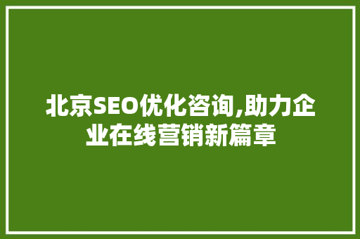 北京SEO优化咨询,助力企业在线营销新篇章