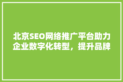 北京SEO网络推广平台助力企业数字化转型，提升品牌影响力