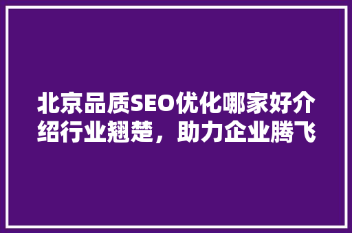 北京品质SEO优化哪家好介绍行业翘楚，助力企业腾飞