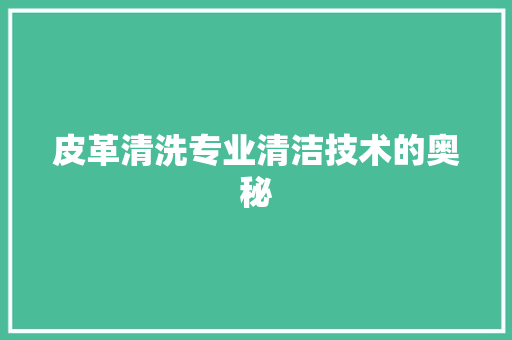 皮革清洗专业清洁技术的奥秘
