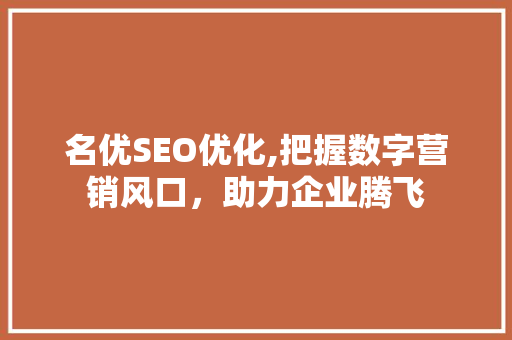 名优SEO优化,把握数字营销风口，助力企业腾飞