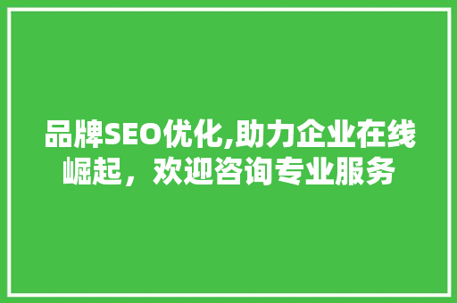 品牌SEO优化,助力企业在线崛起，欢迎咨询专业服务