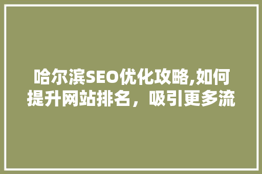 哈尔滨SEO优化攻略,如何提升网站排名，吸引更多流量