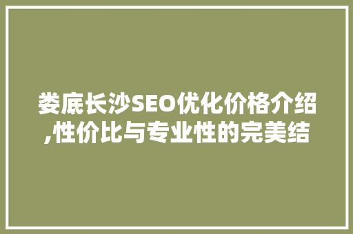 娄底长沙SEO优化价格介绍,性价比与专业性的完美结合  第1张